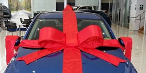 Christmas present 300x150 - Christmas present
