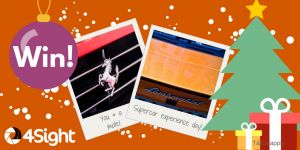 Christmas comp Twitter 1 300x150 - Christmas comp - Twitter (1)